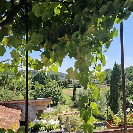 Apartament La Casa Nella Vigna Colline Del Vino Capannori Zewnętrze zdjęcie