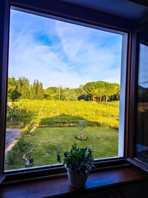 Apartament La Casa Nella Vigna Colline Del Vino Capannori Zewnętrze zdjęcie
