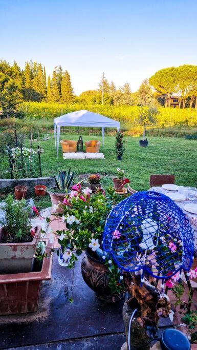 Apartament La Casa Nella Vigna Colline Del Vino Capannori Zewnętrze zdjęcie