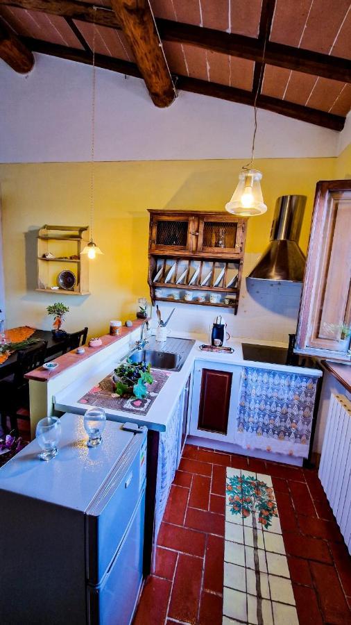 Apartament La Casa Nella Vigna Colline Del Vino Capannori Zewnętrze zdjęcie