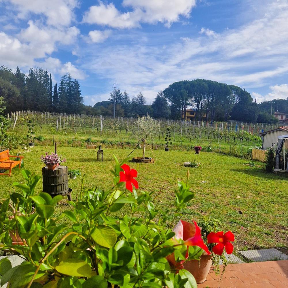 Apartament La Casa Nella Vigna Colline Del Vino Capannori Zewnętrze zdjęcie