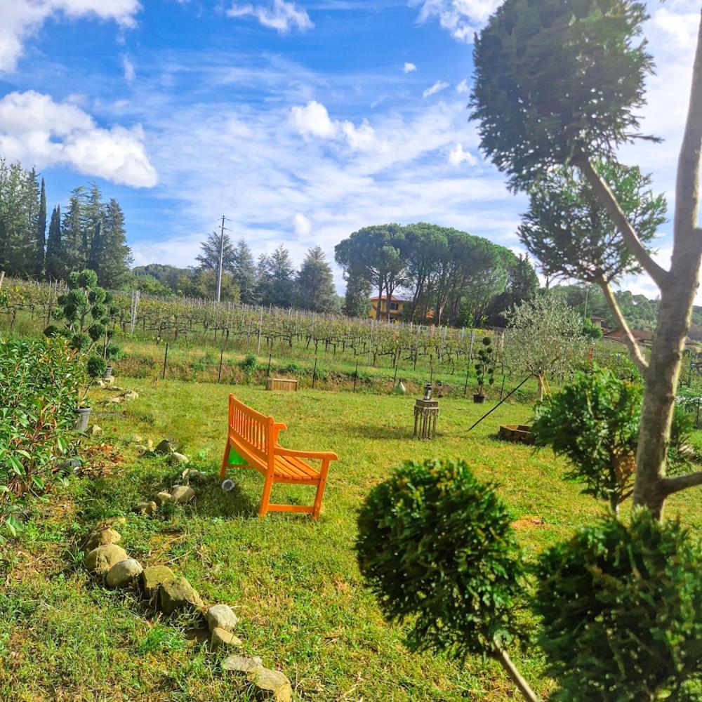 Apartament La Casa Nella Vigna Colline Del Vino Capannori Zewnętrze zdjęcie