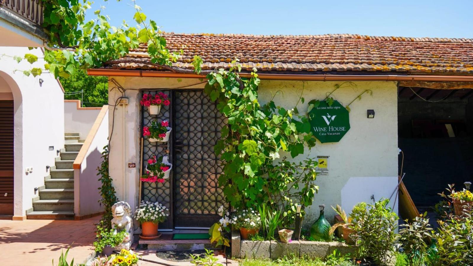 Apartament La Casa Nella Vigna Colline Del Vino Capannori Zewnętrze zdjęcie