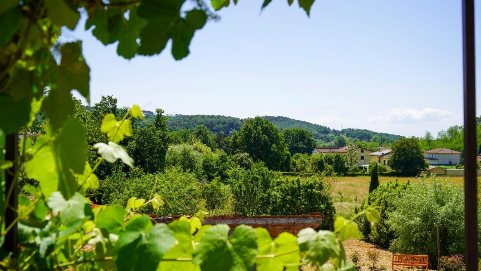 Apartament La Casa Nella Vigna Colline Del Vino Capannori Zewnętrze zdjęcie