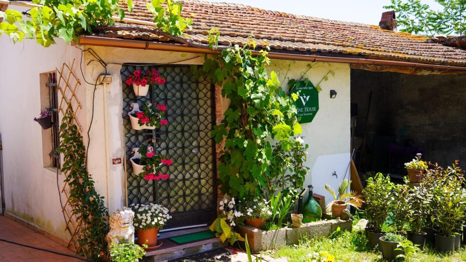 Apartament La Casa Nella Vigna Colline Del Vino Capannori Zewnętrze zdjęcie