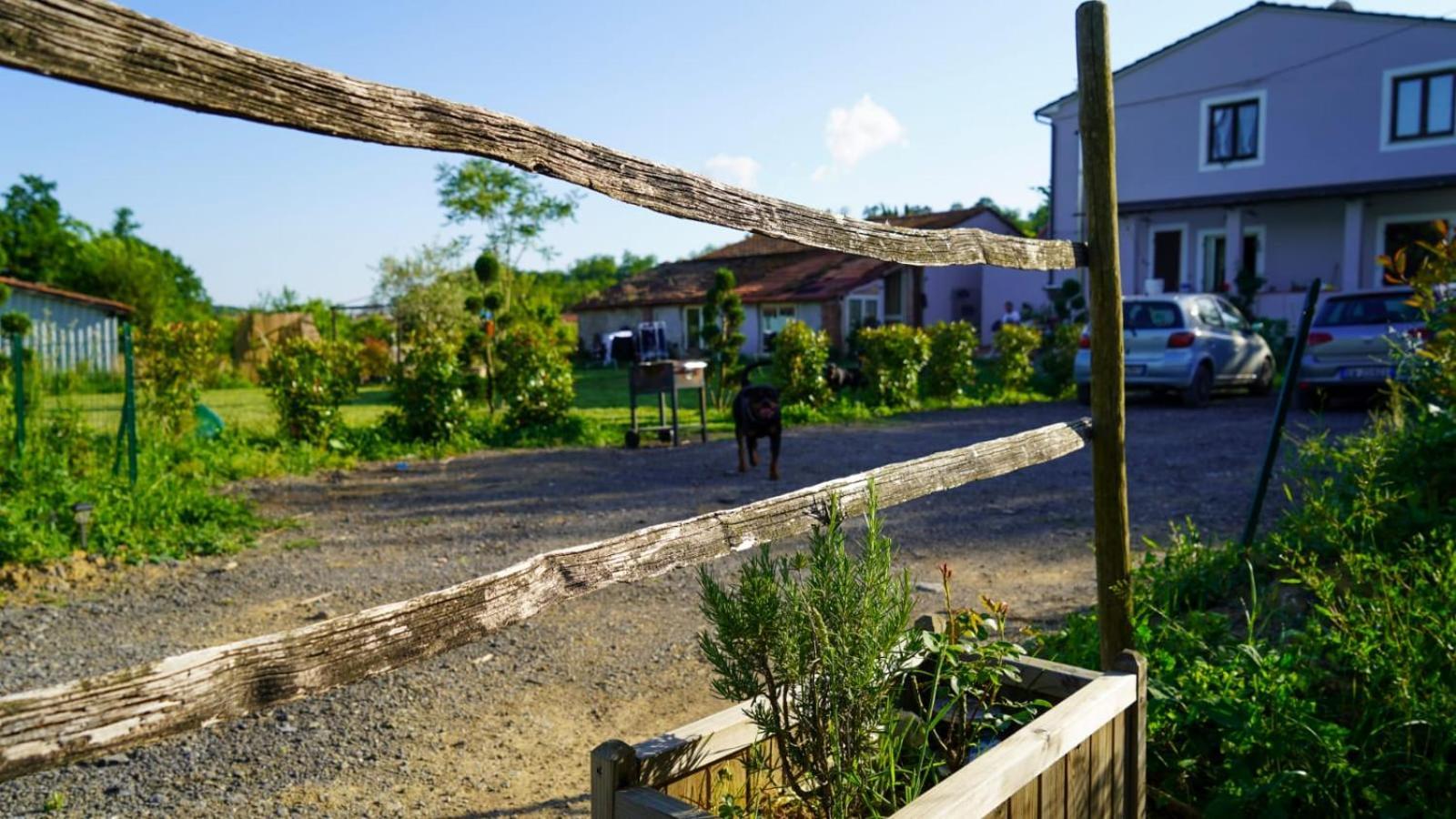 Apartament La Casa Nella Vigna Colline Del Vino Capannori Zewnętrze zdjęcie