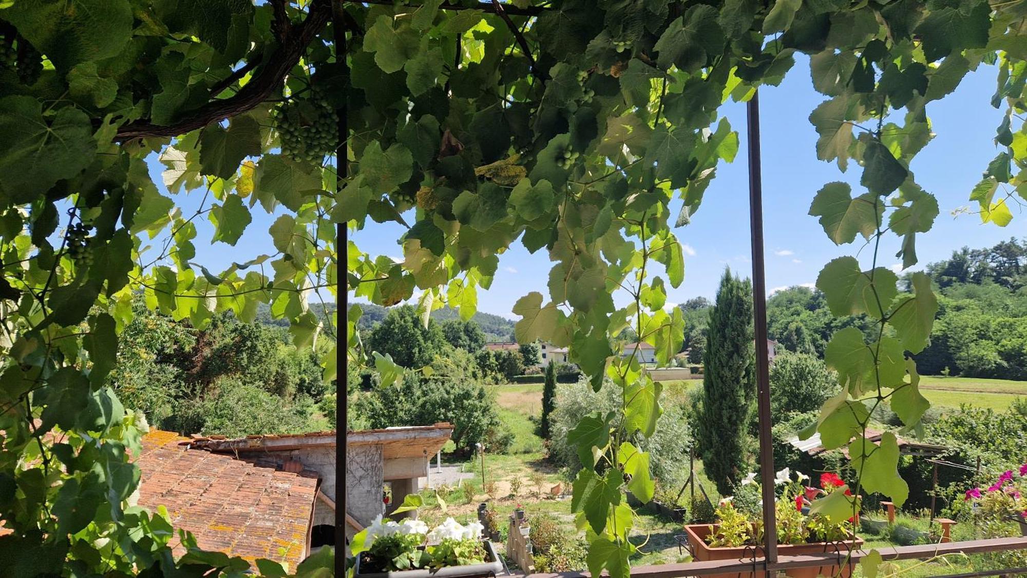 Apartament La Casa Nella Vigna Colline Del Vino Capannori Zewnętrze zdjęcie